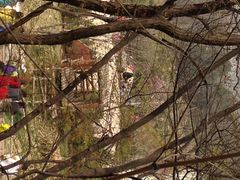 iphone_upload_pic-青岛动物园