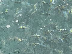 -亚龙湾海底世界