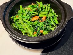 桑巴酱啫啫空心菜-港丽餐厅(天河城店)
