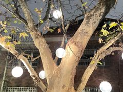 -Ginger(兴国路店)