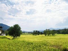 -塔川景区