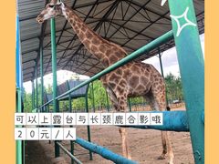 -秦皇岛野生动物园