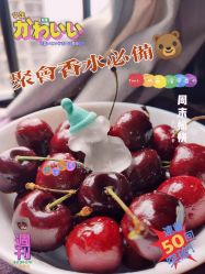 -THE COLORIST调色师