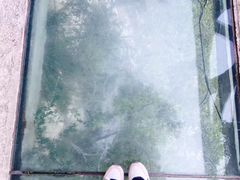 -重庆云阳龙缸景区