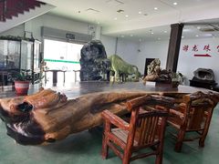 -游龙石文化科普馆