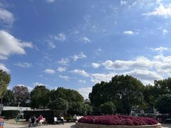 -上海永慈康复医院