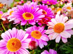 -百伦百货(简阳店)