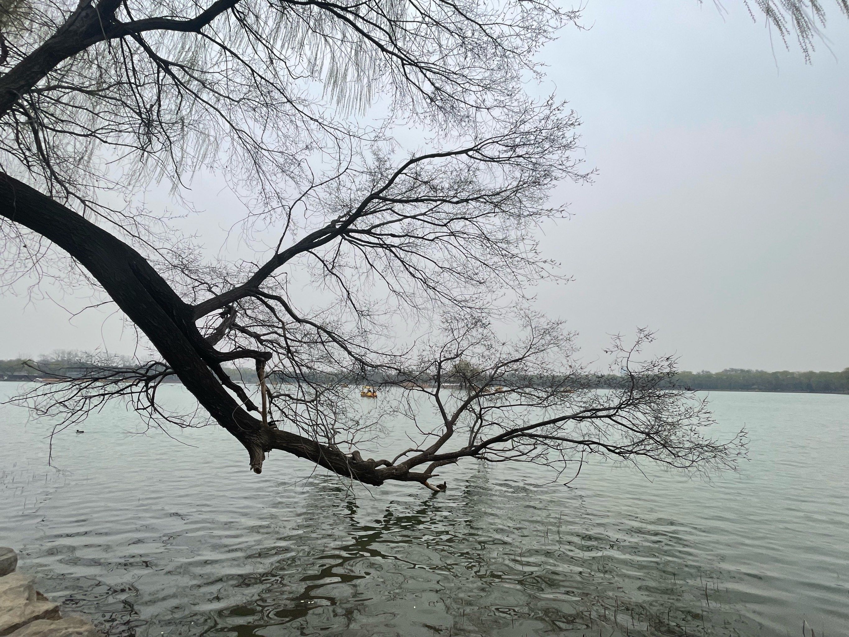曲径通幽圆明园福海