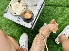 -喜柿咖啡SeeS coffee