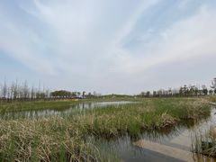 -春花秋色城市公园