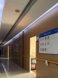 -上海首尔丽格医疗美容医院