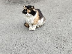 -西南交通大学(九里校区)