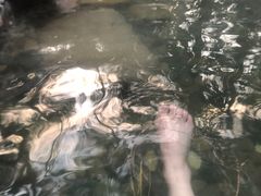 -天目湖涵田半山温泉水乐园