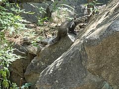-百里山水画廊乌龙峡谷