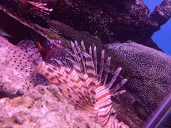 -泉州海丝野生动物世界