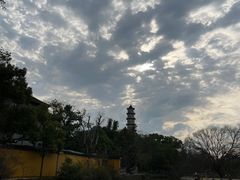 -江心屿景区