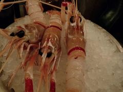 -斯普汇生蚝牛排馆(中骏世界城店)