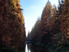 -黄海国家森林公园