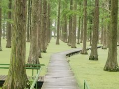 -渌洋湖湿地公园