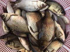 -元银甲·湖北地标美食(汉阳店)