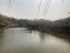 -鹦鹉寺公园