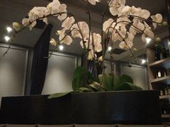 店内布置-食间牛排(湖西路店)