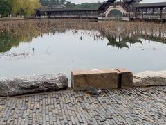 -观桥阁(锦溪店)