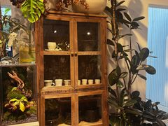 -自由生长植物工作室(深港花卉中心店)