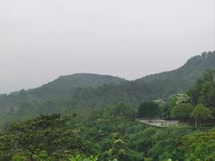 -火炉山森林公园