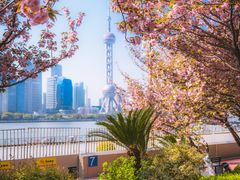 -北外滩滨江绿地