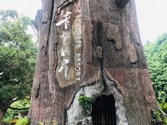 -青青世界