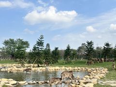 -盈香心动乐园