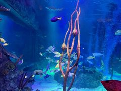 -沈阳海洋探索中心