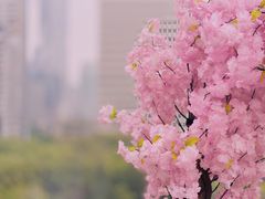 -城市露台景观餐厅(淮海路店)