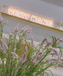 -Verywang半永久纹眉•仪器野生眉