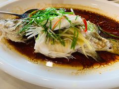 清蒸桂花鱼-香顺·客家菜(东坑店)