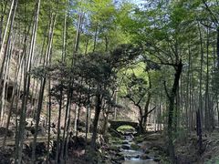 -炎陵县神农谷国家森林公园