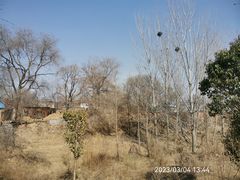 -淇河国家湿地公园