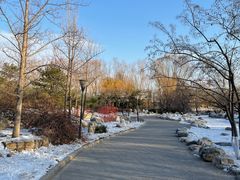 -大望京公园
