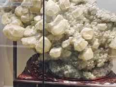 -安徽省地质博物馆