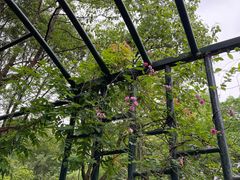 -渤公岛生态公园