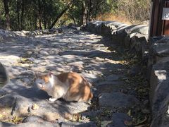 -阳台山自然风景区