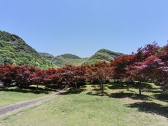 -五泄景区