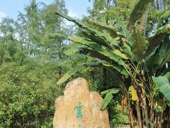 -云溪植物园