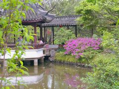 -上海醉白池公园