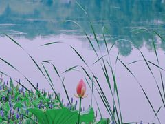 -东湖听涛景区