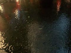 -王家渡火锅(三苏祠店)