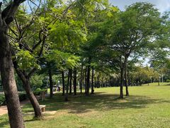 -深圳龙潭公园