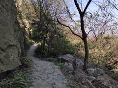 -紫金山山顶公园