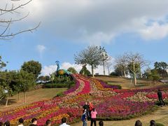 -东莞植物园